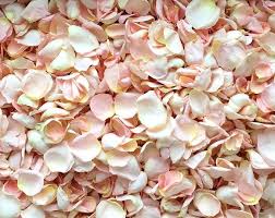 Freeze Dried Rose Petals Blush 10 Cups Of Real Rose Petals Etsy Freeze Dried Rose Petals Real Rose Petals Dried Rose Petals