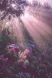 Pin By Kelsey Curtis On Pinterest Nature Aesthetic Nature Photography Nature Wallpaper