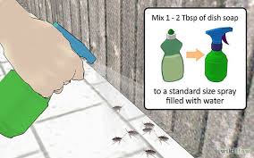 How To Get Rid Of Boxelder Bugs Outside The Outsiders Diy Pest Control Fall Vegetables To Plant