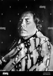 Image of general custer hi-res stock photography and images