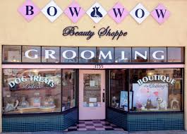 Sniffany's pet boutique local pet food and supply store is a healthy pet shop near albany with everything you need for your dogs & cats. Dog Boutique Window Display Ideas