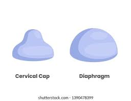 Image result for Cervical Cap
