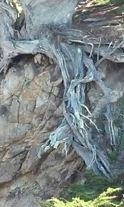 Addison Escobar (addisonescobar)