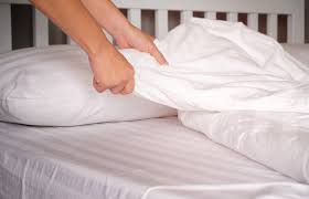 How To Kill Lice On Bedding Lovetoknow