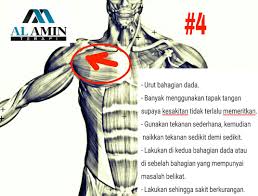 4 Step Urutan Sakit Belikat Sakit Belakang Upper Back
