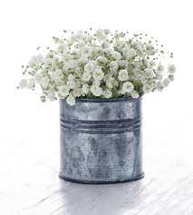 Szwl bianco e blu artificiale rosa mazzo,bouquet da nozze da sposa 24 fiori artificiali rosa fiori di seta bouquet di fiori finti rosa fai da te per casa, giardino, festa, decorazione di nozze 16,99 € 16,99 € Gypsophila La Pianta Che Fiorisce Ogni Anno Per Il Bouquet Delle Spose