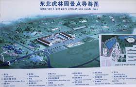 the guide map of the siberian park siberian siberian tiger park