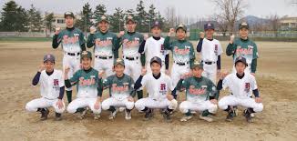 新潟野球ドットコム