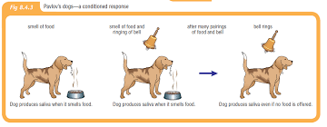 Pin On Characteristics Of A Living Thing