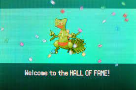 That Extra Level Pokemon Emerald The Sceptile Solo Run