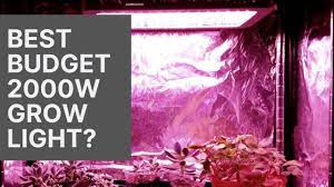 King plus 2000w led grow light reviews: Vander Xeccon 2000w Full Spectrum Grow Light Unboxing And Review Youtube
