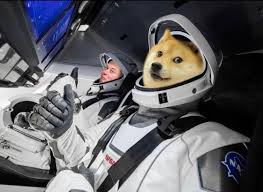 Follow the vibe and change your wallpaper every day! Doge On Twitter Y All Ready For Takeoff Elonmusk Putting A Literal Dogecoin On The Literal Moon Buckle Up Buy More And Hodl