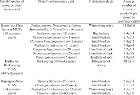 Image result for Triumfetta brachyceras