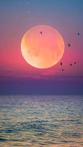 image result for صور للتصميم sunset wallpaper landscape wallpaper nature pictures