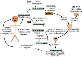 Gene Therapy Sciencedirect