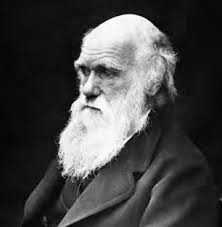 Understanding Religious Freedom