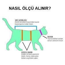 Stylie Kedi Ameliyat Sonrasi Giysisi S Fiyati Taksit Secenekleri