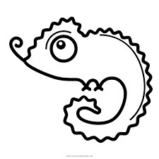 Get your kid to color different types and shapes of chameleons with the help of these chameleon coloring pages to print. Chameleon Coloring Page Ultra Coloring Pages