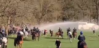 Femmes russes, rencontre femme russe et femmes de l'est. La Femme Renversee Par Un Cheval Au Bois De La Cambre Temoigne Je Suis Tombee Ko Bx1
