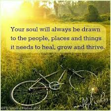 Image result for feed the soul quotes