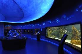 Aqua Florya In Istanbul Worlds Biggest Aquarium Turkey Big Aquarium Aquarium Travel Route