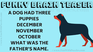 Puzzles are ingenious sources of entertainment that never grow old. Hard Funny Riddle Brain Teaser