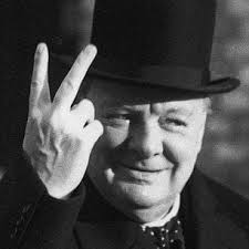 Pine cones. Believe they need to be left to dry as high oils. Are they  worth the bother? Thank you all