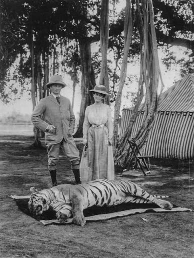 History of Tiger Hunting in South Asia | Tigers and the Empire: A History of Hunting and Resistance | The Daily Star