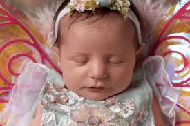 ✨️ 𝓟𝓻𝓲𝓶𝓻𝓸𝓼𝓮 𝓽𝓱𝓮 𝓕𝓪𝓲𝓻𝔂 ✨️