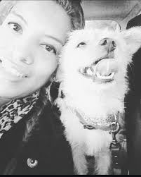 Grief and support for loss of a beloved pet