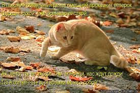 Резултат с изображение за „шутки“