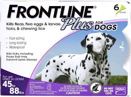 Pin On Must Haves For Every Dog Owner