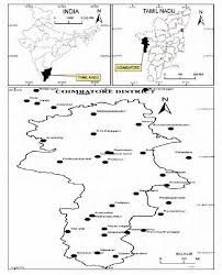 Thillele (irular tribe festival song). Pdf Ethnobotany Of Irular Tribe In Palamalai Hills Coimbatore Tamil Nadu Semantic Scholar