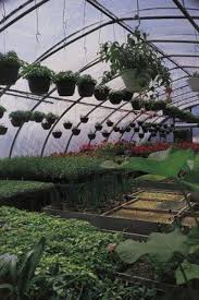 Pin On Hydroponic Aquaponic Gardening
