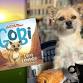 Gobi: A Little Dog with a Big Heart