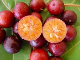 Caribfruits Prune Cafe Fruits Des Antilles Fruits Tropicaux Legume Exotique Fruits Exotiques