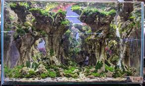 Aquarium Driftwood Collection