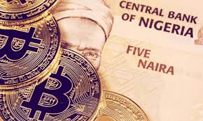 Meanwhile, this data was still growing. Nigerian Firms Baffled By Bitcoin Ban Says Dan Holdings Ceo Trademoneta