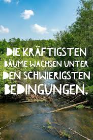 Die 50 Besten Zitate Zu Den Themen Wald Und Baume Waldzitate Gute Zitate Baum Zitate Spruche Natur