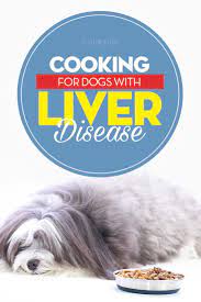 How To Feed Dogs With Liver Disease Top Dog Tips
