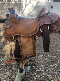 Cactus saddlery® turquoise gator browband headstall w/dots. Saddles Cactus