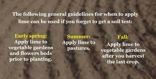 Lime can make a great addition to any vegetable garden, and can help bring up its overall ph level. Using Limestone For Gardens How Much Lime To Add To Soil