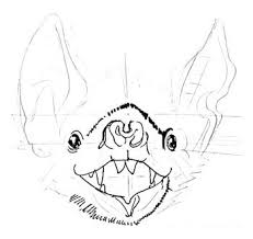 Bat Drawing Carinewbi How to draw a realistic bat. bat drawing carinewbi