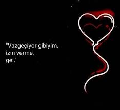 meral sude adli kullanicinin ozlu soz panosundaki pin ozlu sozler