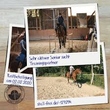 Wallach Sucht Reitbeteiligung In 2020 Reitbeteiligung Reiten Ausreiten