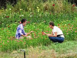 Check spelling or type a new query. Slow Flowers Podcast A Day In The Life Of Vivian Larson Of Everyday Flowers Episode 152 Debra Prinzing