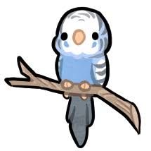 Lil Budgie By Griffsnuff Deviantart Com On Deviantart Cute Drawings Cute Animal Drawings Cute Birds