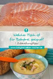 Dabei geht es gar nicht so sehr um die kälte, sondern um den hohen eiweißanteil, der in der milch enthalten ist. Welcher Fisch Ist Fur Babybrei Geeignet Babybrei Zubereitung Essen