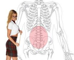 Expirez et augmentez légèrement votre courbe lombaire en creusant le dos vers le bas (ne forcez pas.) excellent exercice pour travailler les muscles postérieurs de la colonne vertébrale sans augmenter significativement la pression à l'intérieur des disques intervertébraux. Mal De Dos Exercices Et Etirements Pour Soulager La Lombalgie Sport Equipements
