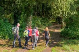 Indre-et-Loire - Randonnée et balade - Randonnée pédestre - Nouzilly -  Agenda Nouzilly 37380